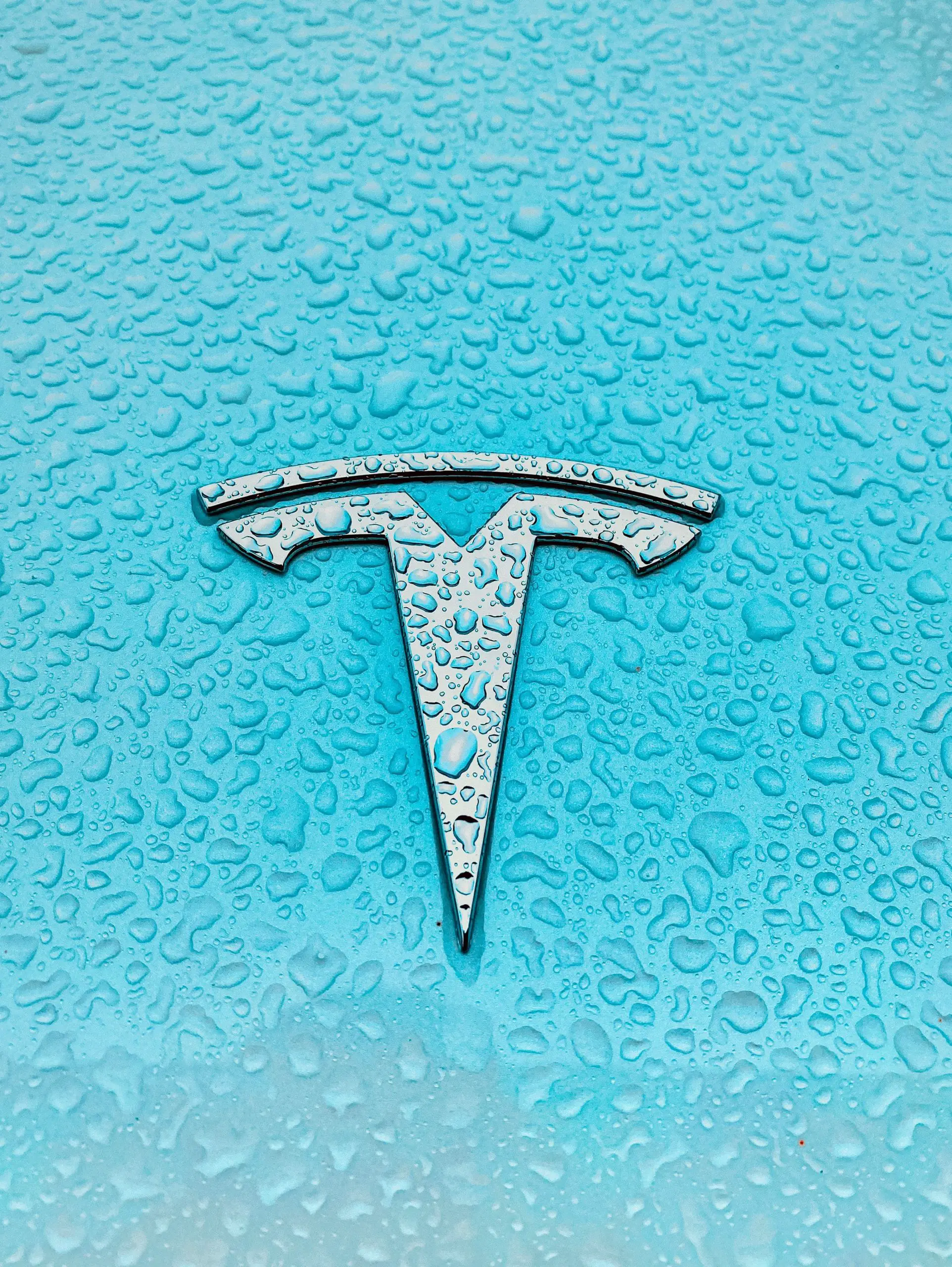 Are Tesla Cars Waterproof?